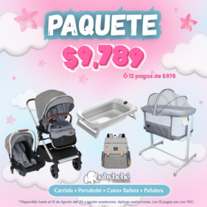 Paquete de carriola, portabebé, colecho, bañera y pañalera